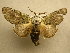  ( - 10-MISC-137)  @14 [ ] Unspecified (default): All Rights Reserved  Unspecified Unspecified