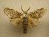  ( - 10-MISC-138)  @14 [ ] Unspecified (default): All Rights Reserved  Unspecified Unspecified