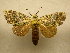  (Farigia sp - 10-MISC-139)  @15 [ ] Unspecified (default): All Rights Reserved  Unspecified Unspecified