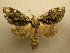  ( - 10-MISC-142)  @13 [ ] Unspecified (default): All Rights Reserved  Unspecified Unspecified