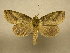  ( - 10-MISC-160)  @14 [ ] Unspecified (default): All Rights Reserved  Unspecified Unspecified