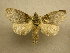  ( - 10-MISC-186)  @14 [ ] Unspecified (default): All Rights Reserved  Unspecified Unspecified