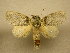  ( - 10-MISC-188)  @14 [ ] Unspecified (default): All Rights Reserved  Unspecified Unspecified
