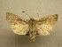  ( - 10-MISC-201)  @14 [ ] Unspecified (default): All Rights Reserved  Unspecified Unspecified