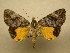  ( - 10-MISC-224)  @14 [ ] Unspecified (default): All Rights Reserved  Unspecified Unspecified