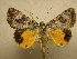  ( - 10-MISC-226)  @13 [ ] Unspecified (default): All Rights Reserved  Unspecified Unspecified