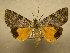  ( - 10-MISC-227)  @14 [ ] Unspecified (default): All Rights Reserved  Unspecified Unspecified