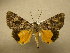  ( - 10-MISC-230)  @14 [ ] Unspecified (default): All Rights Reserved  Unspecified Unspecified
