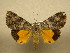  ( - 10-MISC-233)  @14 [ ] Unspecified (default): All Rights Reserved  Unspecified Unspecified