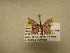 ( - 10-MISC-250)  @12 [ ] Unspecified (default): All Rights Reserved  Unspecified Unspecified