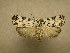  ( - 10-MISC-276)  @14 [ ] Unspecified (default): All Rights Reserved  Unspecified Unspecified