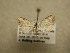  ( - 10-MISC-280)  @12 [ ] Unspecified (default): All Rights Reserved  Unspecified Unspecified