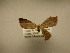  ( - 10-MISC-380)  @11 [ ] No Rights Reserved (2010) James Sullivan Research Collection of J. B. Sullivan