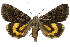  ( - 11-MISC-656)  @15 [ ] No Rights Reserved (2010) James Sullivan Research Collection of J. B. Sullivan