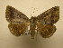  ( - 11-MISC-695)  @14 [ ] No Rights Reserved (2011) JB Sullivan Research Collection of J. B. Sullivan