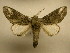  ( - 11-MISC-726)  @13 [ ] No Rights Reserved (2011) JB Sullivan Research Collection of J. B. Sullivan