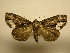  ( - 11-MISC-837)  @12 [ ] No Rights Reserved (2011) JB Sullivan Research Collection of J. B. Sullivan