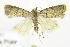  ( - USNM ENT 00808548)  @14 [ ] Unspecified (default): All Rights Reserved  Unspecified Unspecified