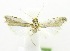  ( - USNM ENT 00718908)  @12 [ ] Unspecified (default): All Rights Reserved  Unspecified Unspecified