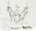  (Spulerina sp. 1 - USNM ENT 00270757)  @12 [ ] Unspecified (default): All Rights Reserved  Unspecified Unspecified