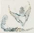  ( - USNM ENT 00270723)  @12 [ ] Unspecified (default): All Rights Reserved  Unspecified Unspecified