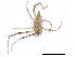  (Erythraeinae - DPMIT-16-29)  @15 [ ] CreativeCommons - Attribution (2012) CBG Photography Group Centre for Biodiversity Genomics