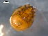  ( - 08MIONT-0135)  @13 [ ] CreativeCommons - Attribution (2010) Unspecified Centre for Biodiversity Genomics