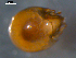  ( - 08MIONT-0135)  @13 [ ] CreativeCommons - Attribution (2010) Unspecified Centre for Biodiversity Genomics