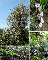  ( - KSR-0014)  @11 [ ] Copyright (2015) The M. S. University of Baroda, Vadodara The M. S. University of Baroda, Vadodara