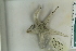  ( - ZMBN_115422)  @11 [ ] CreativeCommons - Attribution Non-Commercial Share-Alike (2017) University of Bergen Natural History Collections