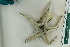  ( - ZMBN_115422)  @11 [ ] CreativeCommons - Attribution Non-Commercial Share-Alike (2017) University of Bergen Natural History Collections