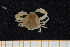  ( - UMBergen_MBOWA_brach112)  @14 [ ] CreativeCommons - Attribution Non-Commercial Share-Alike (2013) Natural History Collections, University of Bergen University of Bergen, Natural History Collections