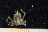  ( - UMBergen_MBOWA_brach141)  @13 [ ] CreativeCommons - Attribution Non-Commercial Share-Alike (2013) Natural History Collections, University of Bergen University of Bergen, Natural History Collections