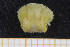  ( - UMBergen_MBOWA_brach144)  @11 [ ] CreativeCommons - Attribution Non-Commercial Share-Alike (2013) Natural History Collections, University of Bergen University of Bergen, Natural History Collections