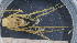  ( - UMBergen_MBOWA_brach238)  @11 [ ] CreativeCommons - Attribution Non-Commercial Share-Alike (2013) Unspecified University of Bergen, Natural History Collections