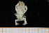  ( - UMBergen_MBOWA_brach251)  @13 [ ] CreativeCommons - Attribution Non-Commercial Share-Alike (2013) Unspecified University of Bergen, Natural History Collections