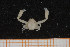  ( - UMBergen_MBOWA_brach66)  @14 [ ] CreativeCommons - Attribution Non-Commercial Share-Alike (2013) Natural History Collections, University of Bergen University of Bergen, Natural History Collections