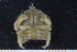  ( - UMBergen_MBOWA_brach97)  @11 [ ] CreativeCommons - Attribution Non-Commercial Share-Alike (2013) Natural History Collections, University of Bergen University of Bergen, Natural History Collections