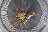  ( - UMBergen_MBOWA_miwa154)  @13 [ ] CreativeCommons - Attribution Non-Commercial Share-Alike (2013) Unspecified University of Bergen, Natural History Collections