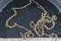  ( - UMBergen_MBOWA_ophiu49)  @14 [ ] CreativeCommons - Attribution Non-Commercial Share-Alike (2013) Natural History Collections, University of Bergen University of Bergen, Natural History Collections