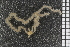  ( - ZMBN_84671)  @12 [ ] CreativeCommons - Attribution Non-Commercial Share-Alike (2014) University of Bergen University of Bergen, Natural History Collections