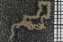  ( - ZMBN_84671)  @12 [ ] CreativeCommons - Attribution Non-Commercial Share-Alike (2014) University of Bergen University of Bergen, Natural History Collections