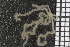  ( - ZMBN_99214)  @11 [ ] CreativeCommons - Attribution Non-Commercial Share-Alike (2014) University of Bergen University of Bergen, Natural History Collections