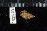  ( - ZMBN 92123)  @11 [ ] CreativeCommons - Attribution Non-Commercial Share-Alike (2014) Manuel A. E. Malaquias University of Bergen, Natural History Collections