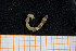  ( - UMBergen_MBOWA_mald150)  @11 [ ] CreativeCommons - Attribution Non-Commercial Share-Alike (2013) Natural History Collections, University of Bergen University of Bergen, Natural History Collections