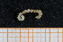  ( - UMBergen_MBOWA_mald25)  @11 [ ] CreativeCommons - Attribution Non-Commercial Share-Alike (2013) Natural History Collections, University of Bergen University of Bergen, Natural History Collections
