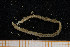  (Onuphis sp. 2 - UMBergen_MBOWA_onup64)  @11 [ ] CreativeCommons - Attribution Non-Commercial Share-Alike (2013) Natural History Collections, University of Bergen University of Bergen, Natural History Collections