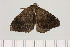  ( - PS1529)  @11 [ ] Unspecified (default): All Rights Reserved  Unspecified Unspecified