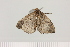  ( - PS1529)  @11 [ ] Unspecified (default): All Rights Reserved  Unspecified Unspecified