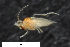  ( - ZFMK-TIS-2527352)  @12 [ ] CreativeCommons  Attribution Share-Alike (by-sa) 4.0  Unspecified Zoologisches Forschungsmuseum Alexander Koenig